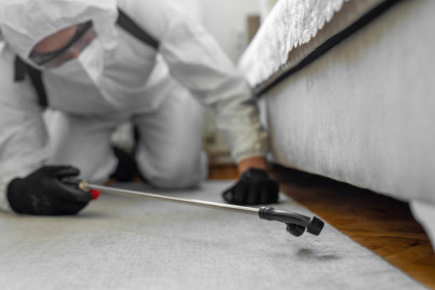 Professional Cockroach Control technician working in Sargent, TX